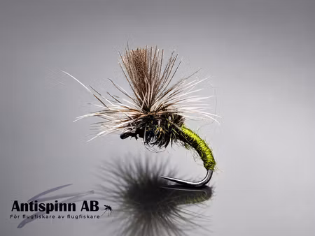 Klinkhammer Olive CDC #14