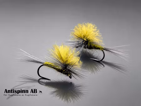 Mayfly Olive CDC #14