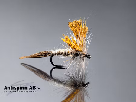 Atherton No:5 Dark #14