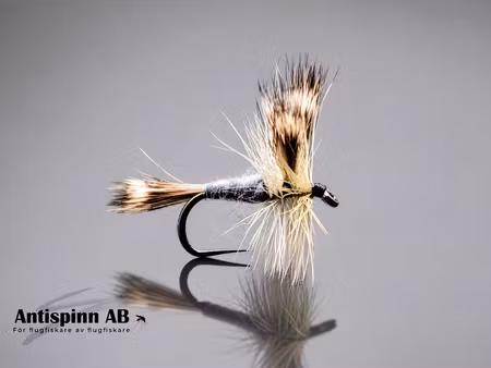 Gray Wulff Light #10