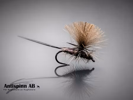 Dagslända Blue Dun #14