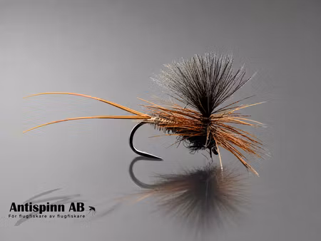 Dagslända Heptagenia