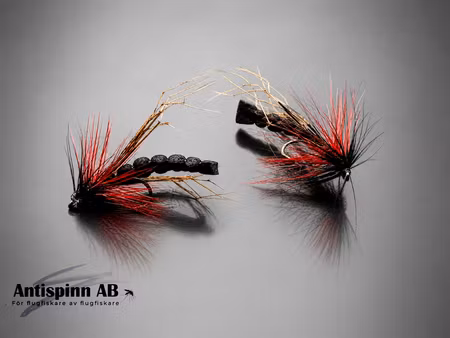 Daddy Long Leg Black #14
