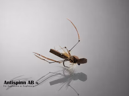 Daddy Long Leg Brown Foam #14