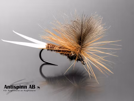 Mayfly Brown#12