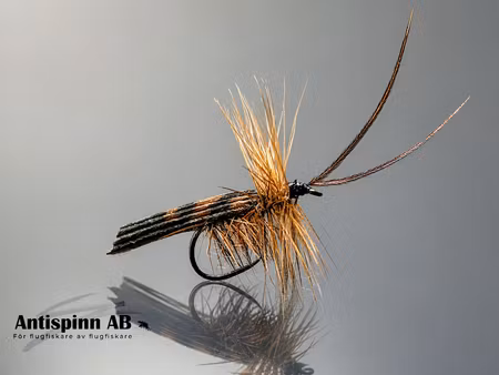 Brown Horned Roof Wing #14