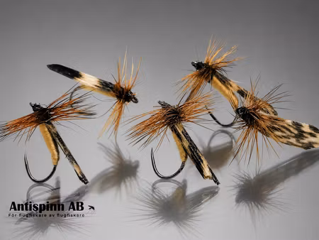 Light Caddies  #14