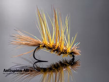 Comparadun Yellow Flash #12 Long