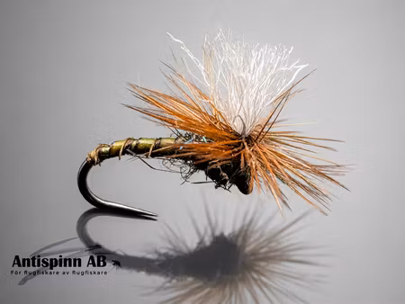 Klinkhammer Olive Biot #14
