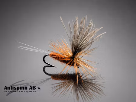 Vespertina Brown #16