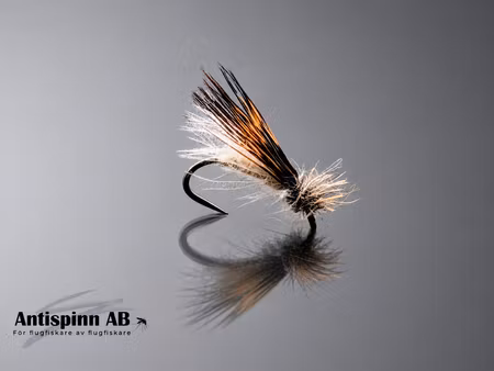 The Wicked Light Caddis # 16