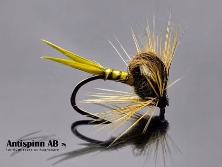 Kläckare Olive #16