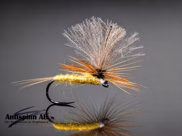 Dagslända Dun Yellow
