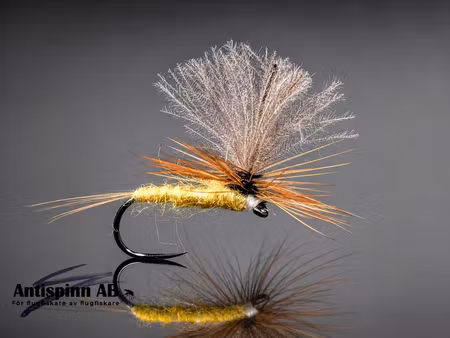 Dagslända Dun Yellow