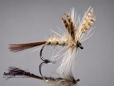Atherton No:5 #14