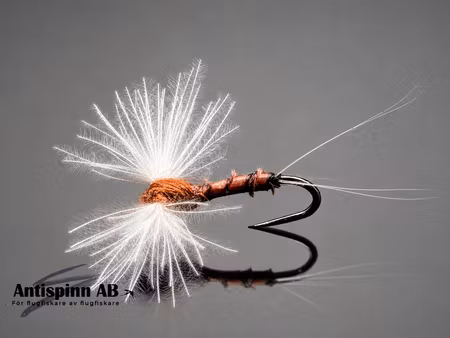 Cdc Biot Rusty Spinner #16
