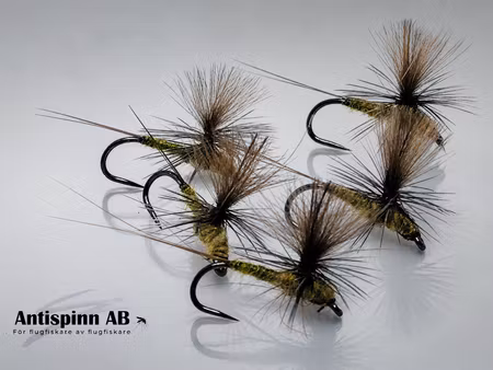 Dagslända Dun Golden Olive