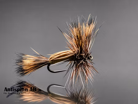 Humpy Yellow