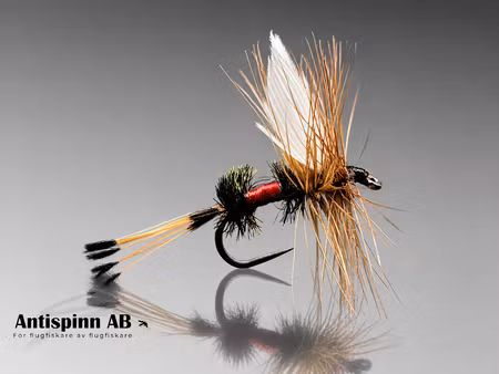 Royal Coachman #14