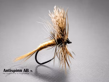 American March Brown #14