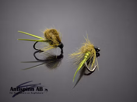 Kläckare Light Olive