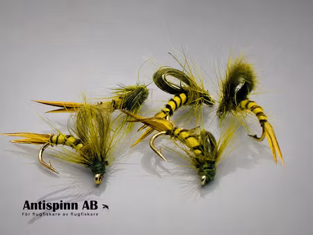Kläckare Light Olive