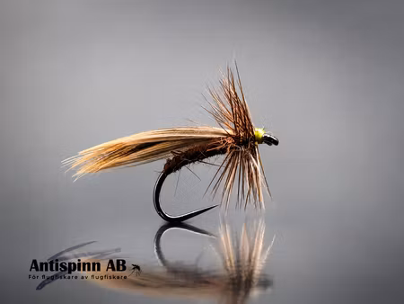 Europa 12 Rusty Brown