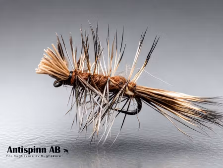 Dyret Brun #18