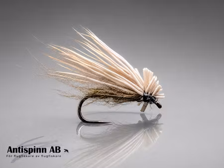 CdC & Elk Olive #16