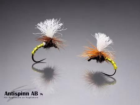 Klinkhammer Golden Olive Biot #14