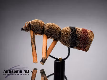 Brown Foam Ant #14