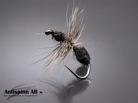 Black Ant #12
