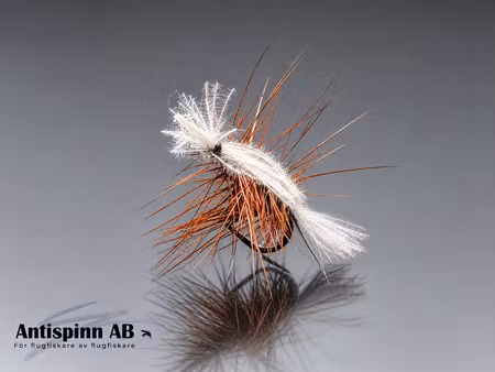 Brown Badger #14