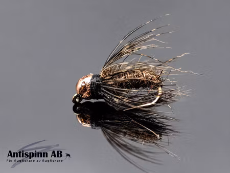 Buggy Pupa Brown BH #14
