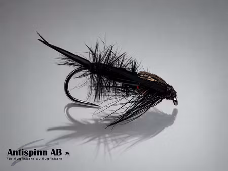 Stonefly Black #10