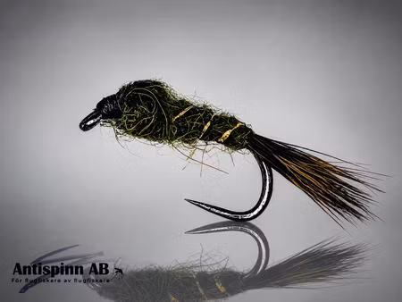 Olive Guldribbat haröra #14