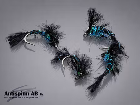 Black and Blue Nymph #16