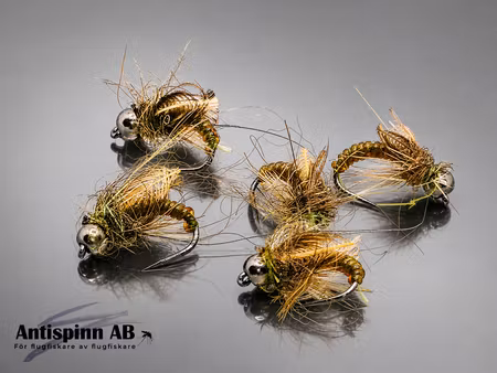 Caddies Pupa Brown BH  #14