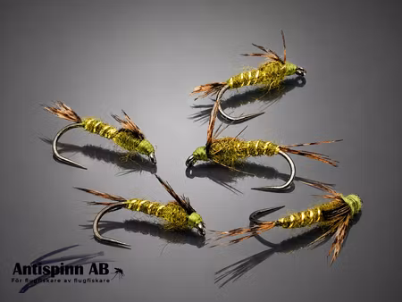 Nymph thin Olive Gold Rib #14