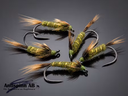 Nymph Olive #14