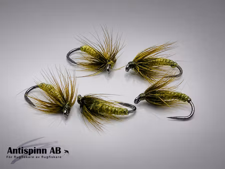 Softhackle Golden Olive #14