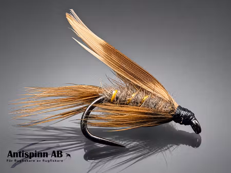March Brown #12