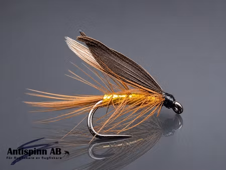 Wickhams Fancy #12