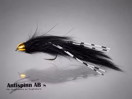 Black Zonker Conehead BL #8