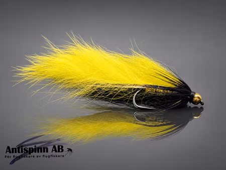 Zonker BH Yellow #8