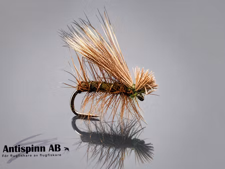 Elk Hair Caddis Olive #16
