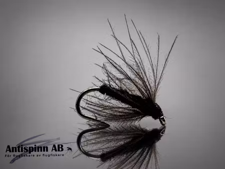 CDC Myggen #16