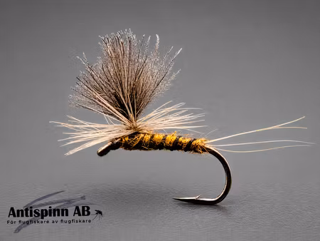 Aurivillii  #14