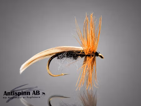 Europa 12 Gray  #12