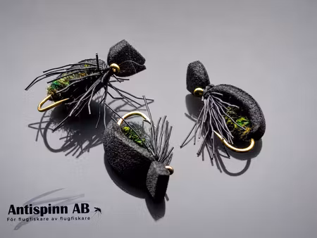 Black Beetle #14